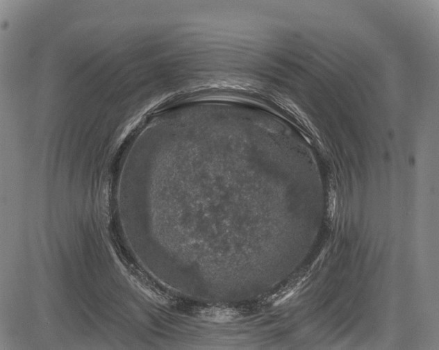 X0000085060444200703121529