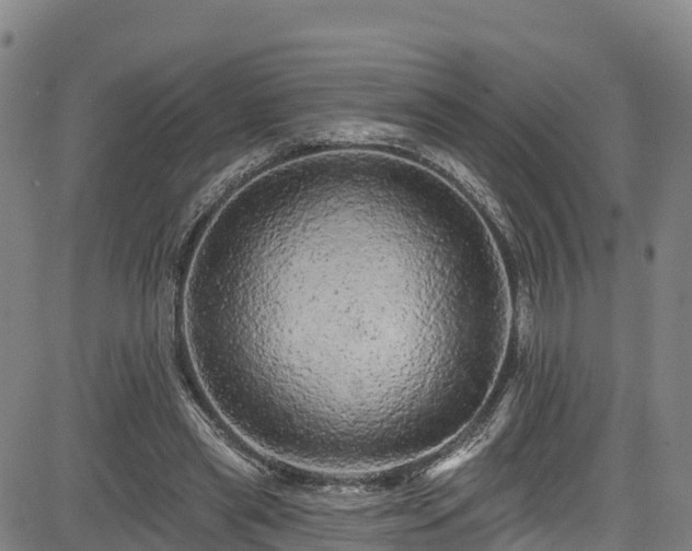 X0000085060445200703121529