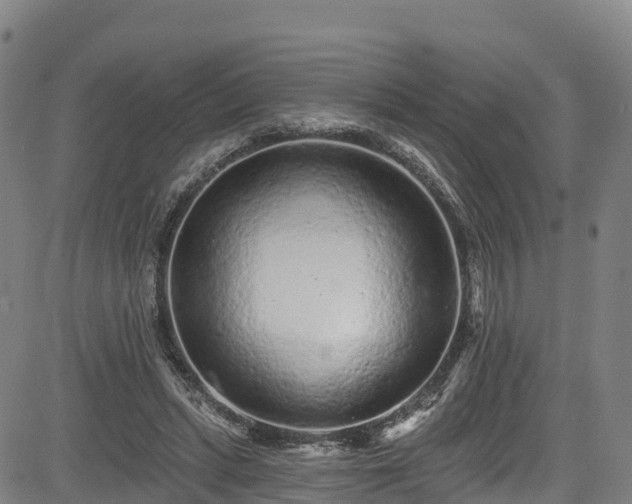 X0000085060447200703121529