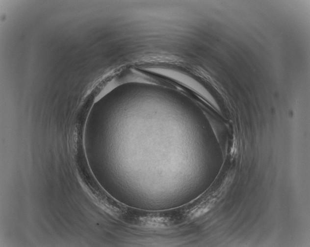 X0000085060448200703121529