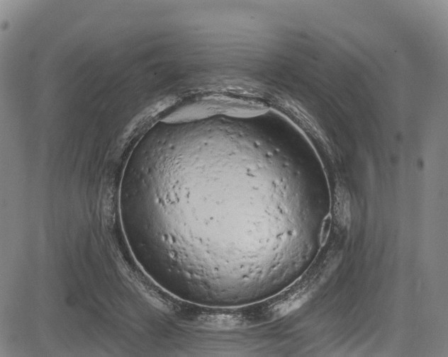 X0000085060449200703121529