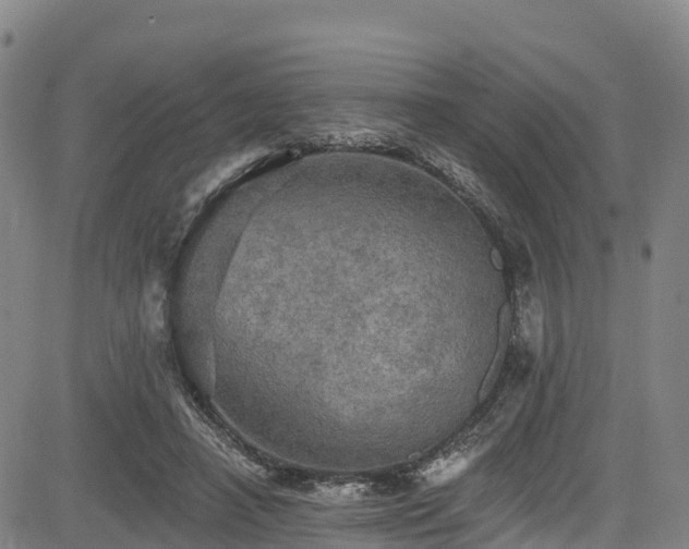 X0000085060450200703121529