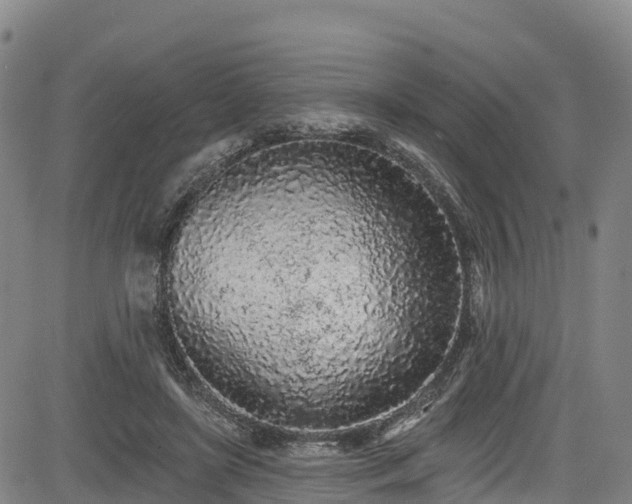 X0000085060451200703121529