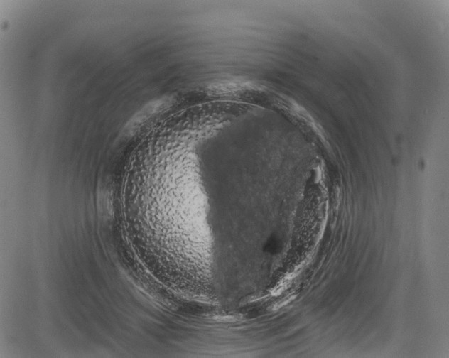 X0000085060452200703121529