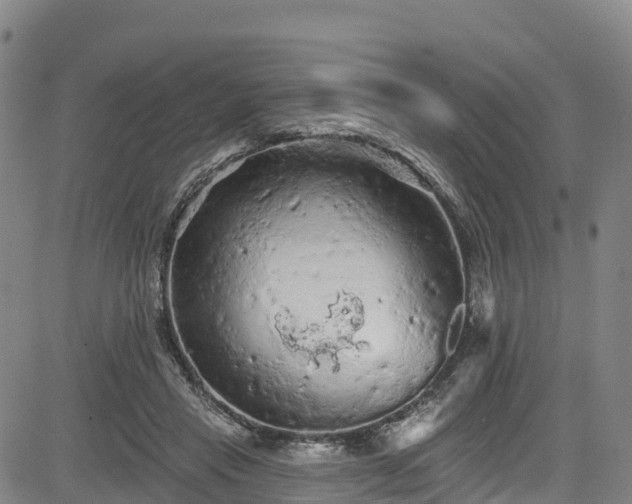 X0000085060453200703121529