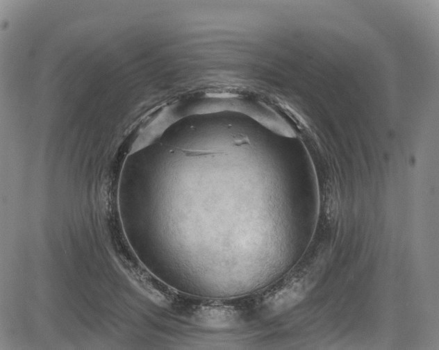 X0000085060455200703121529