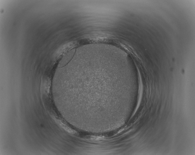 X0000085060458200703121529