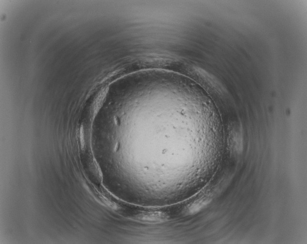 X0000085060459200703121529