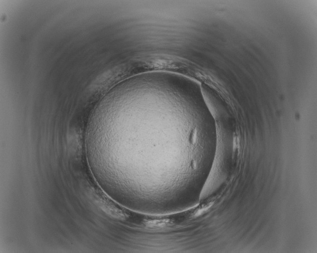 X0000085060461200703121529