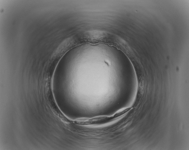 X0000085060462200703121529