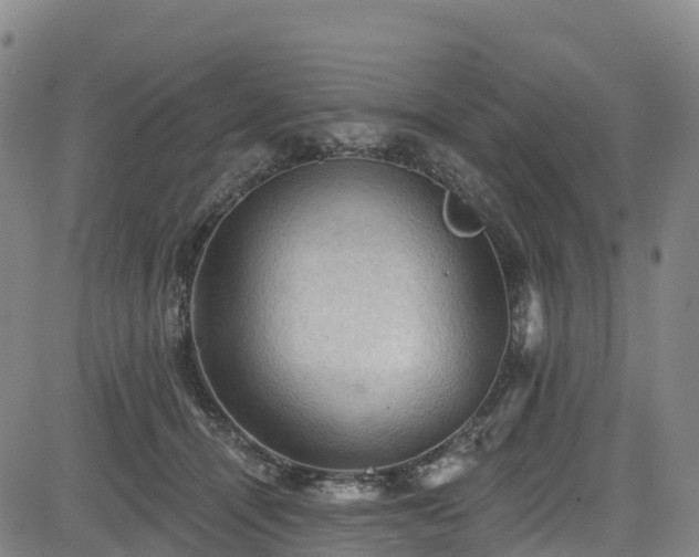 X0000085060464200703121529