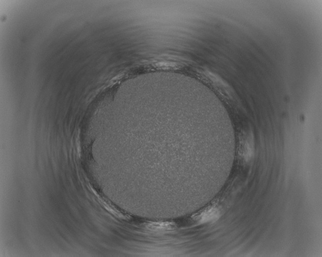 X0000085060465200703121529