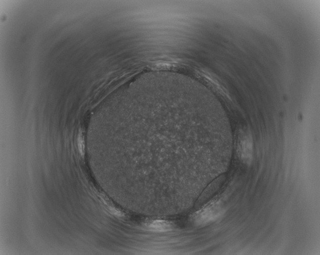 X0000085060467200703121529