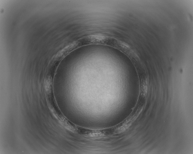 X0000085060468200703121529