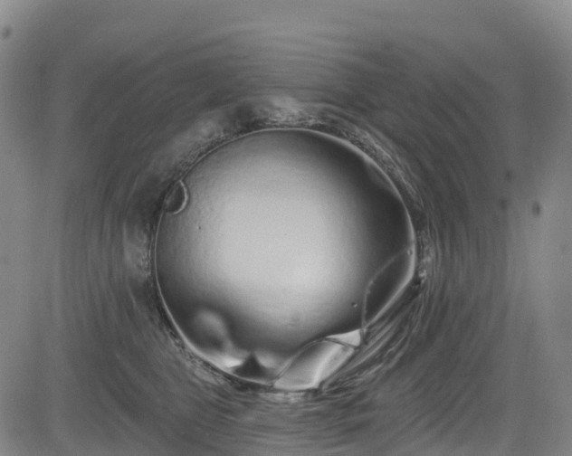 X0000085060469200703121529