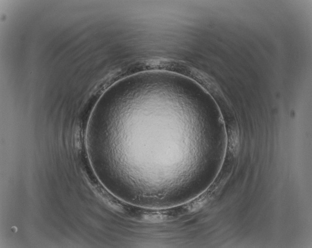 X0000085060470200703121529