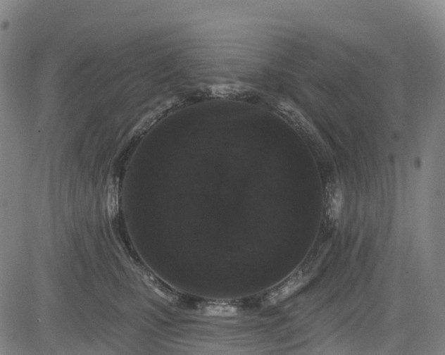 X0000085060471200703121529