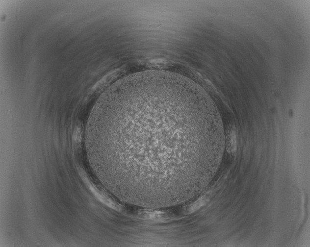 X0000085060472200703121529