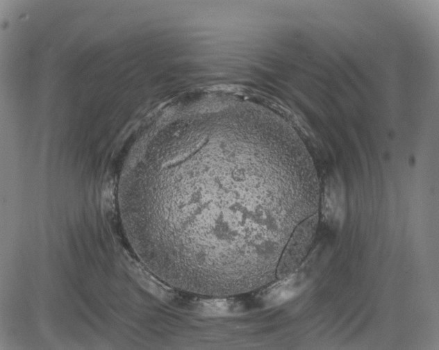 X0000085060473200703121529