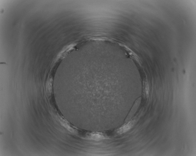 X0000085060475200703121529