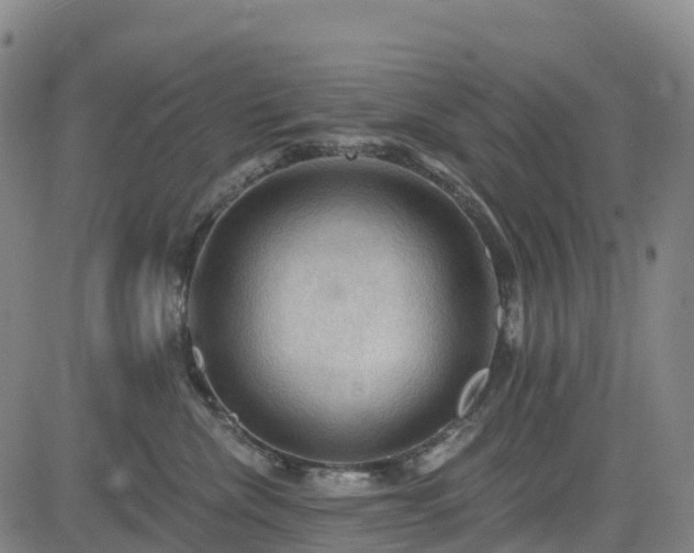 X0000085060476200703121529