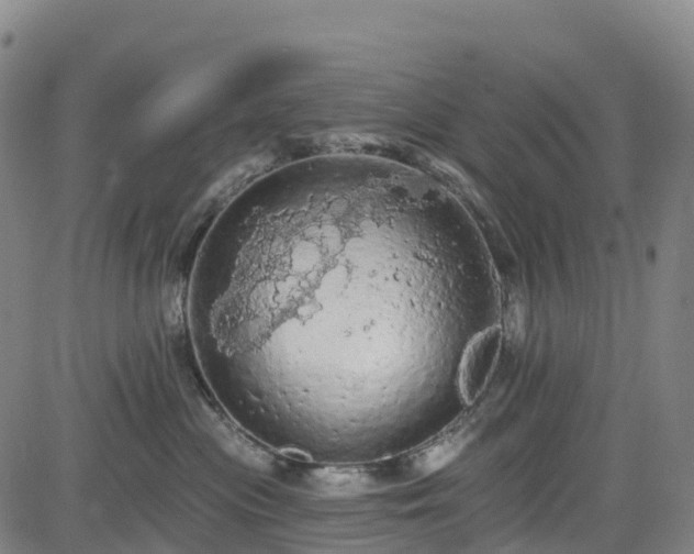 X0000085060477200703121529