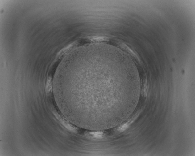 X0000085060478200703121530