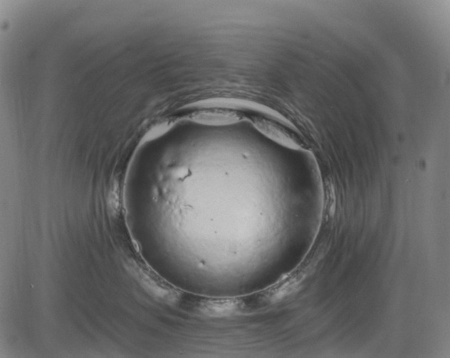 X0000085060479200703121530