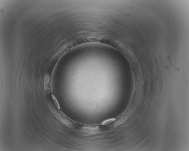 X0000085060480200703121530