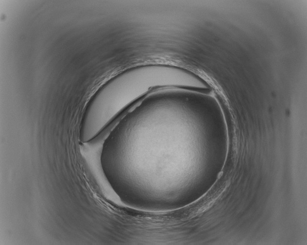 X0000085060481200703121529