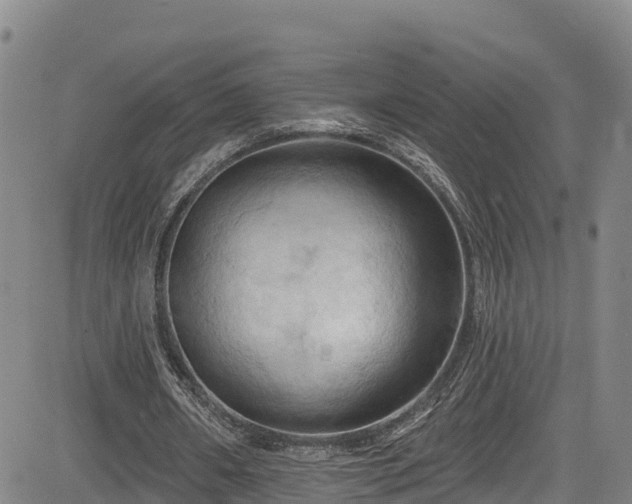 X0000085060482200703121529