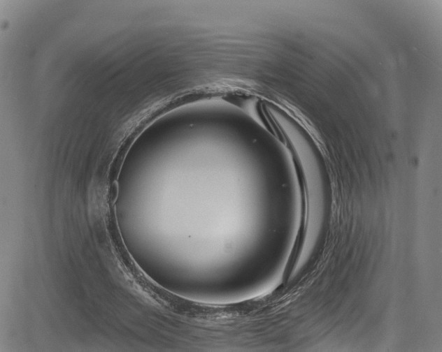 X0000085060485200703121529