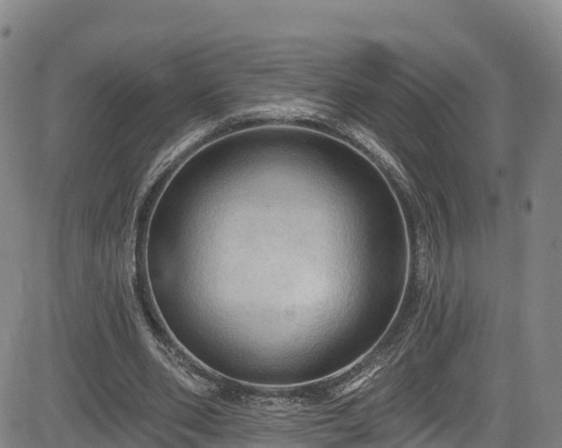 X0000085060486200703121529