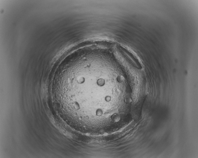 X0000085060487200703121529