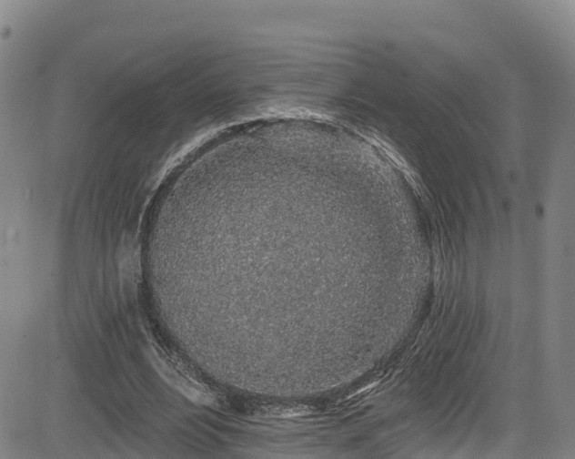 X0000085060488200703121529