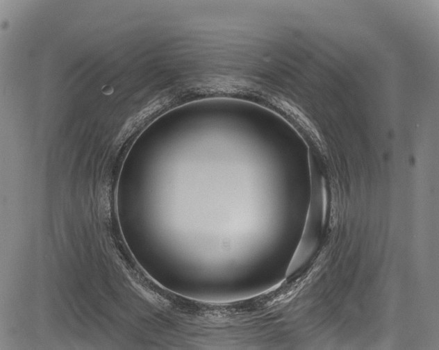 X0000085060489200703121529