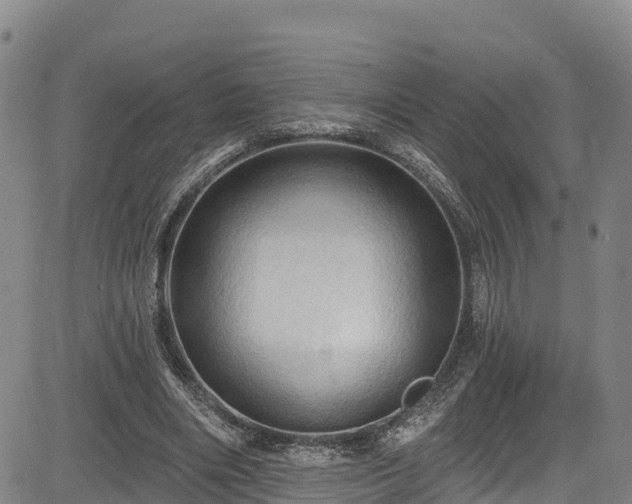 X0000085060490200703121529