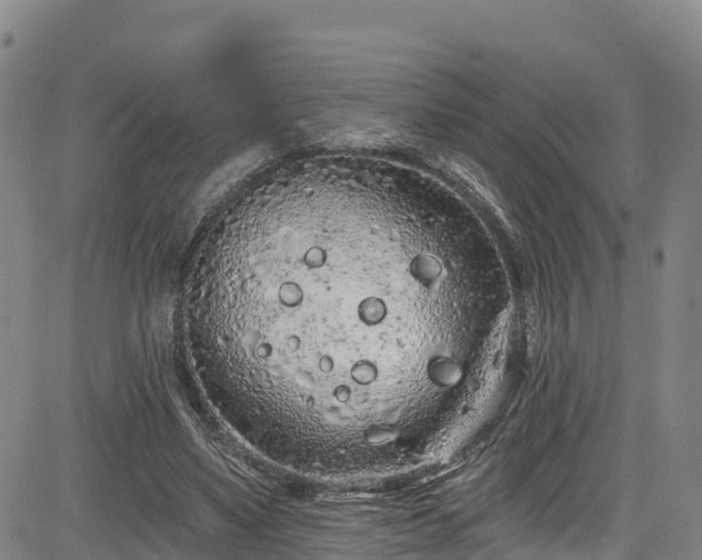 X0000085060491200703121529