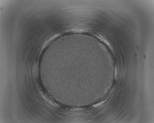 X0000085060492200703121529