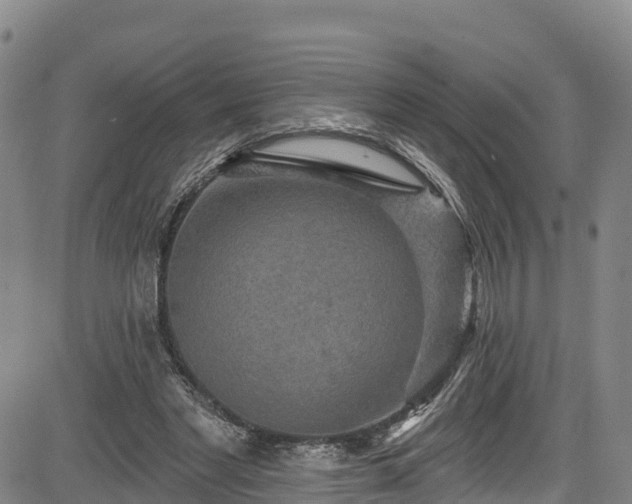 X0000085060493200703121529