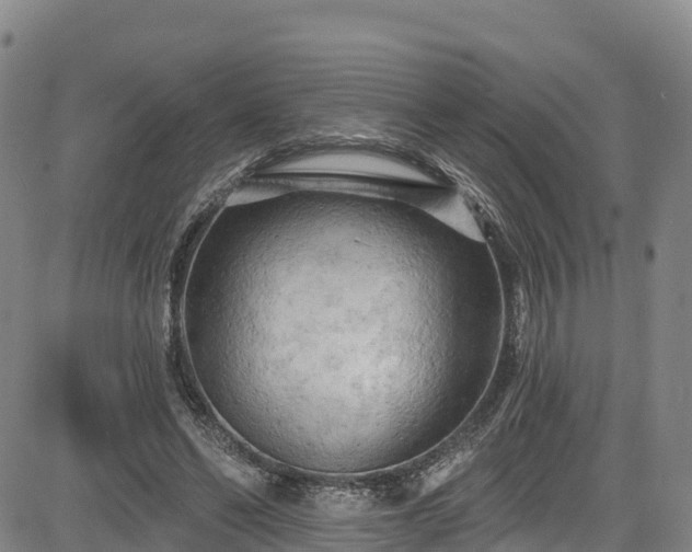 X0000085060494200703121529