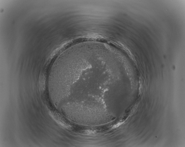 X0000085060496200703121528