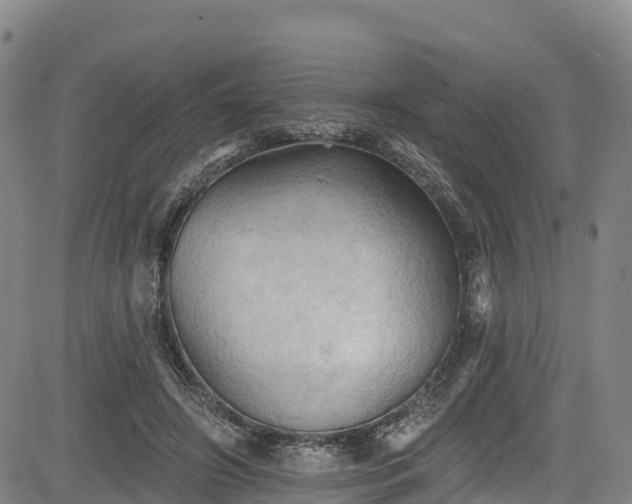 X0000085060498200703121528