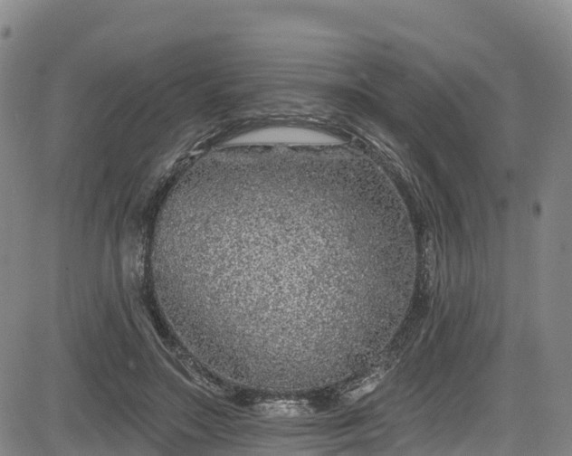 X0000085060499200703121528