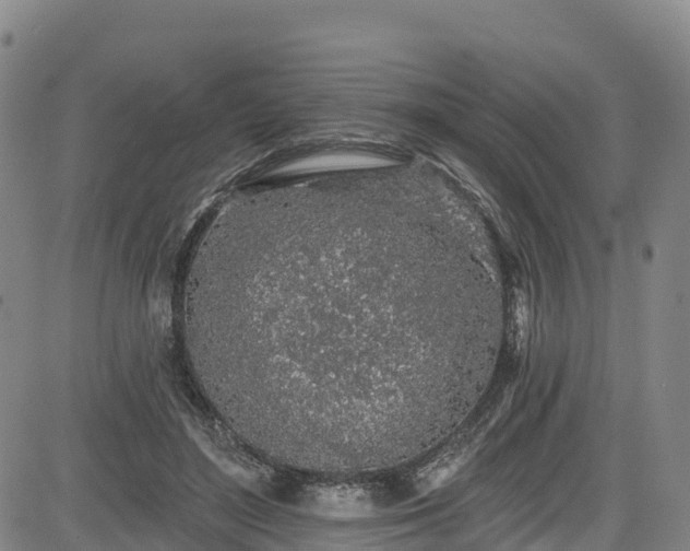 X0000085060500200703121528