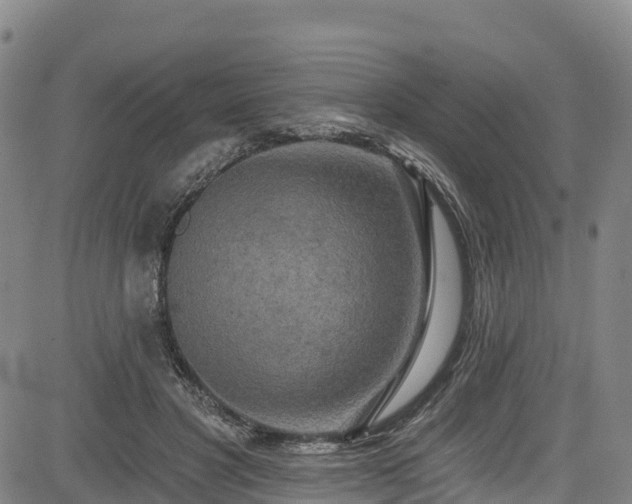 X0000085060501200703121528