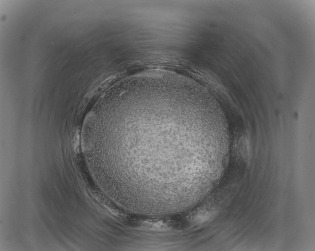 X0000085060502200703121528