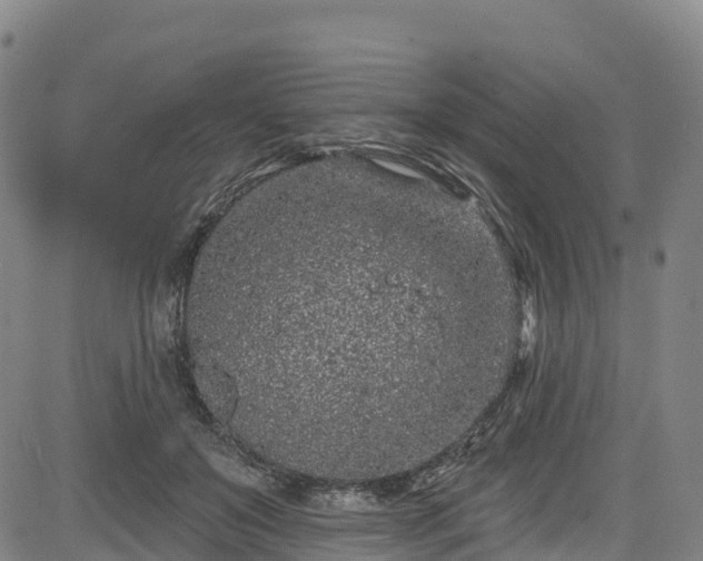 X0000085060503200703121528