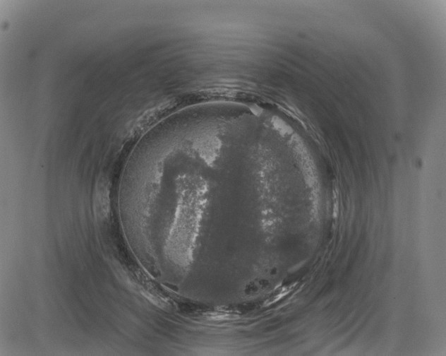 X0000085060504200703121528