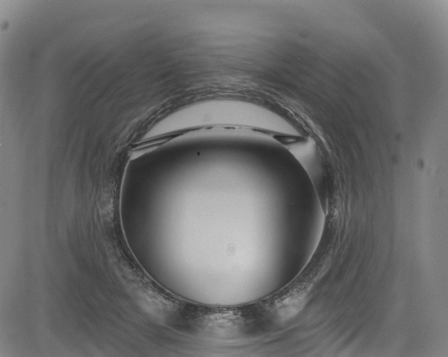 X0000085060505200703121528